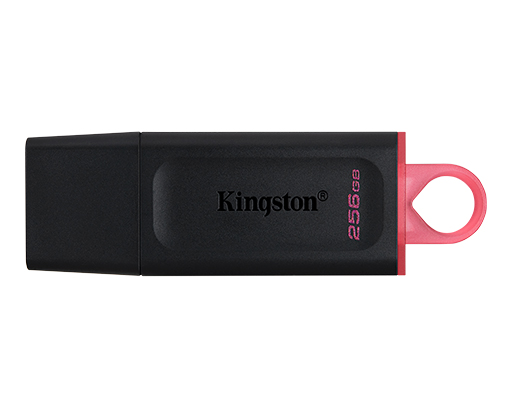 Kingston DTX/256GB